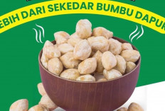 Kemiri: Bumbu Dapur Unik yang Kaya Rasa dan Manfaat