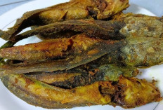 Lele Goreng Sensasi Gurih yang Selalu Jadi Favorit Kuliner Nusantara