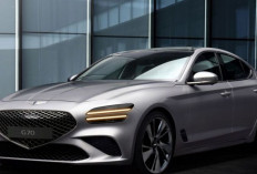 Hyundai Umumkan Recall Besar : Genesis G70 dan Elantra N Terdampak !