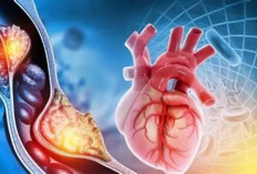  Parasit Cacing Bisa Sebabkan Pengapuran Otot Jantung dan Gangguan Irama