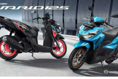 Tak Sekadar Ganti Warna, Honda New Vario 125 Tampil dengan Konsep Vario Street dan Reguler