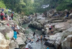 Desa Wisata Pulau Pinang : Surga Alam dan Budaya di Kabupaten Lahat  