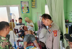 Sedang Menyadap Karet Petani di Musi Rawas Diserang Beruang Begini Kondisinya! 