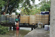 Buntut Pekarangan SD Belanti Jadi Tempat Penyimpanan Solar, Camat Pedamaran Panggil Kepsek dan Kades
