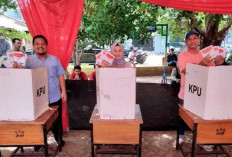 Suhu Politik Mulai Terasa  : Parpol Rame-rame Buka Penjaringan Bakal Calon Pilkada Kota Palembang 
