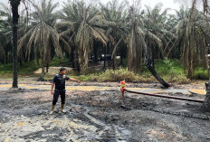 Sumur Ilegal Drilling di Lahan PT Hindoli Keluang Meledak dan Terbakar : Polisi Selidiki Pemilik !