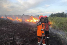 Karhutla Kembali Terjadi di Ogan Ilir: 3,5 Hektare Lahan Terbakar di Sungai Rambutan !