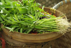 Cegah dan Kendalikan Diabetes dengan Kangkung