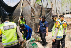 Sub Satgas Gakkum Ilegal Drilling dan Illegal Refinery Musi Banyuasin Tutup 93 Sumur