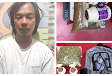 Polisi Tangkap Kurir Ganja di Prabumulih : Sita 235,9 Gram Ganja Kering !