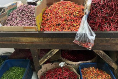 Harga Pangan 17 April 2025 : Harga Cabai Rawit Turun Jadi Rp76.944, Telur Ayam Masih Stabil Rp28.073/Kg ! 