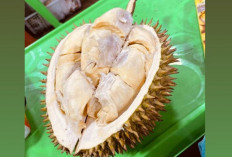 Hati-hati ! Ini Dampak dari Konsumsi Durian Berlebih !