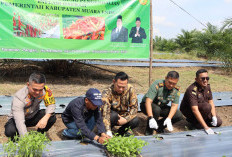 Pj Bupati Canangkan Gerakan Tanam Cabai dan Vaksinasi Rabies Serentak 