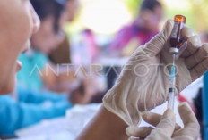 IDAI Sebut Campak dan Difteri Lebih Darurat Ditangani Dibanding Hantavirus di Indonesia