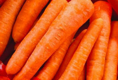 7 Jenis Sayuran yang Bisa Disimpan Lama di Lemari Es, Cocok untuk Stok di Rumah