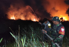 Kebakaran Lahan Gambut di Ogan Ilir Dekati Permukiman dan Jalan Tol, Diduga Dibakar Orang Tak Dikenal