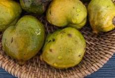 Jaga Kebersihan Usus dengan Buah Gayam