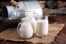 Manfaat Minum Susu di Pagi Hari untuk Kesehatan Tubuh dan Produktivitas Seharian