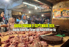 Harga Pangan 21 September 2024 : Daging Ayam Ras Turun Jadi Rp34.400 per Kilogram !