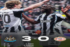 Hasil Liga Champions: Newcastle United Menang Meyakinkan 3-0 Lawan PSV Eindhoven