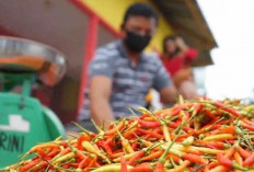 Harga Pangan 16 Agustus 2025: Cabai Rawit Rp40.657, Bawang Merah Rp45.992 per Kilogram !