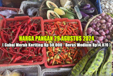 Harga Pangan 29 Agustus 2024 : Cabai Merah Keriting Tembus Rp50.000 per Kg, Kenapa Bisa Begitu ? 