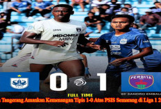 Persita Tangerang Amankan Kemenangan Tipis 1-0 Atas PSIS Semarang di Liga 1 2024/2025