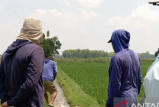  Dinas Pertanian OKU Timur Bangun Sumur Bor Hadapi El Nino