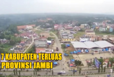 7 Kabupaten Terluas di Jambi 2024 : Geografi, Budaya, dan Pesona Alam yang Tak Terhingga di Sumatera !