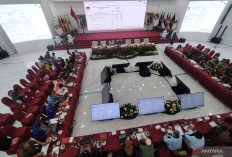 Anggota DPD Bali yang Dipecat Presiden Raih Suara Terbanyak Kedua