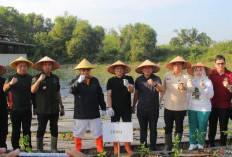 10 Hektare Lahan Disulap Jadi Lahan Tanaman Tanam Cabai 