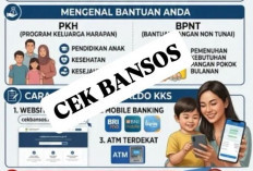Cara Mudah Cek Status Bansos PKH dan BPNT Lewat HP 2026, Sudah Cair Atau Belum?