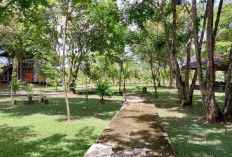 Taman Selarai Indah Sekayu : Surga Wisata Keluarga di Jantung Kota Sekayu 