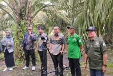 KUD Sejahtera Jadi Role Model Nasional Hilirisasi Sawit