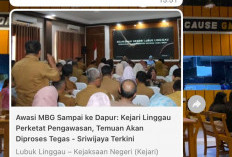 Waspada! Chat Catut Nama Pegawai Kejari Lubuklinggau Beredar, Masyarakat Diminta Jangan Mudah Percaya