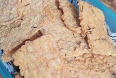 Rahasia Tempe Krispi Tahan Lama hingga 1 Bulan, Tanpa Tepung Terigu