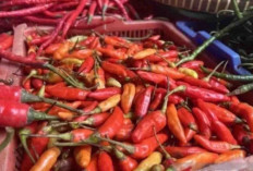 Harga Pangan 10 Desember 2025 : Cabai Rawit Merah Tembus Rp66.690 per Kilogram 