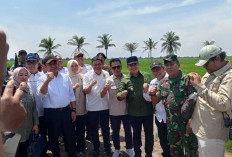 Kunker Komisi IV DPR RI di Tanjung Lago: Soroti Program Optimasi Lahan Rawa dan Swasembada Pangan!