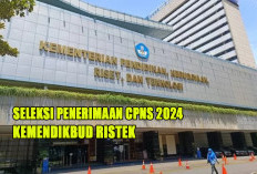 Jangan Lewatkan ! Panduan Lengkap Persiapan Pendaftaran CPNS Kemendikbudristek 2024 