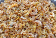  Ebi Kering: Si Kecil Gurih yang Jadi Andalan Dapur Nusantara
