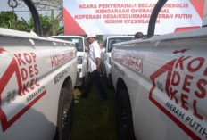 Pemerintah Sebut Rekrutmen Manajer Kopdes sebagai Investasi SDM Terbesar di Desa
