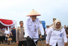  Tanam Jagung di Lahan Rawan Karhutla 
