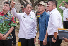 Dorong Semua Perusahaan Sawit jadi Anggota Gapki