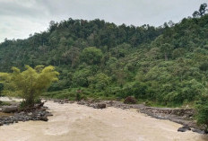 Kurangi Ketergantungan ke Fosil, Sumsel Pacu Energi Terbarukan