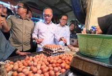 Harga Pangan Minggu 9 Februari 2025 : Bawang Merah Rp37.350/Kg, Telur Ayam Rp29.950/Kg !