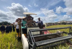Produksi Padi Sumsel Tembus 3,60 Juta Ton