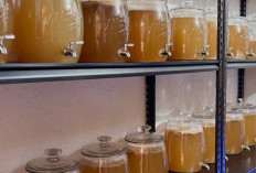 Kombucha: Minuman Fermentasi yang Menyehatkan