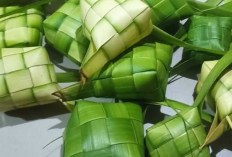 Ketupat Lebaran, Hidangan Ikonik yang Selalu Hadir Saat Hari Raya