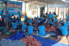 Masjid Syarif Hidayat Sembelih 10 Sapi dan 1 Kambing Kurban, Jemaah Antusias Gotong Royong
