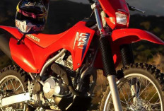 Penerus CRF250F, Honda CRF300F 2026 Hadir Lebih Bertenaga dan Ringan